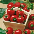 50 Large Red Cherry Hot Pepper Seeds 3000 5000 On The Scoville Scale Fresh Seeds Fast Shipping