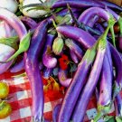 50 Long Purple Eggplant Seeds Organic Open Pollinated Container Fresh Seeds Fast Shipping