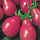 50 Pink Chery Tomato Seeds Fresh Seeds Fast Shipping