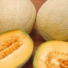 50 Planters Jumbo Cantaloupe Seeds Fresh Seeds Fast Shipping