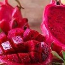 50 Red Dragon Fruit Seeds Fresh Seeds Fast Shipping