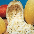 50 Spaghetti Squash Seeds Winter Organic Fresh Seeds Fast Shipping