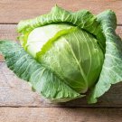 600 Cabbage Seeds Copenhagen Market Early Fresh Seeds Fast Shipping