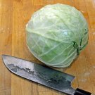 600 Cabbage Seeds Danish Ballhead Fresh Seeds Fast Shipping