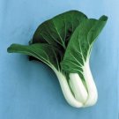 600 Cabbage Seeds Pak Choi White Stem Fresh Seeds Fast Shipping