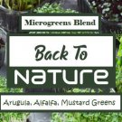 Arugula Alfalfa Mustard Greens Microgreen Seed Blend Microgreens Seeds Microgreen Fresh Seeds Fast S