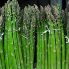 Asparagus Seeds Mary Washington Variety Organic Asparagus Vegetable Seeds Fresh Seeds Fast Shipping