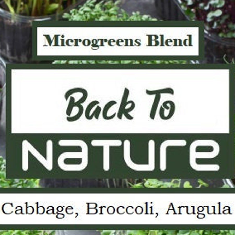 Cabbage Broccoli Arugula Microgreen Seed Blend Organic Microgreen Fresh Seeds Fast Shipping