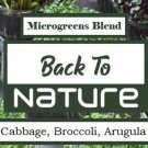 Cabbage Broccoli Arugula Microgreen Seed Blend Organic Microgreen Fresh Seeds Fast Shipping
