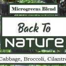 Cabbage Broccoli Cilantro Microgreen Seed Blend Organic Fresh Seeds Fast Shipping
