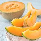 Cantaloupe Seeds Hales Best Variety Organic Fruit Variety Fresh Seeds Fast Shipping