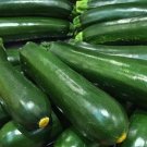 Dark Green Zucchini Seeds Organic Zucchini Zucchini Fresh Seeds Fast Shipping
