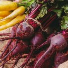 Detroit Dark Red Beet Seeds Organic Beet Beets Fresh Seeds Fast Shipping