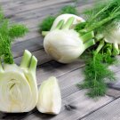 Fennel Seeds Organic Fennel Seeds Herb Seeds Fennel Seeds Fennel Right Fresh Seeds Fast Shipping
