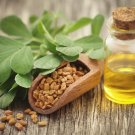 Fenugreek Seeds Organic Non Gmo Fenugreek Seeds Herb Seeds Herb Seeds Fenugreek From Seed Fresh Seed