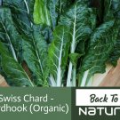 Fordhook Swiss Chard Seeds Organic Seeds Fresh Seeds Fast Shipping