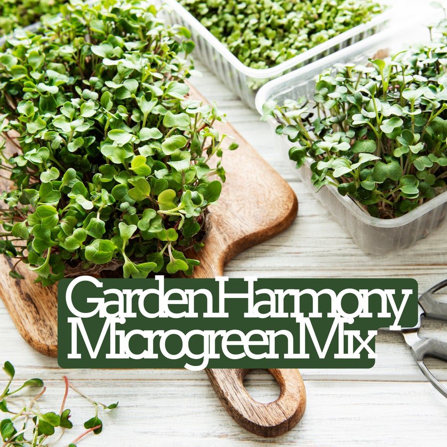Garden Harmony Microgreen Seed Blend Organic Microgreen Fresh Seeds Fast Shipping