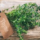 German Winter Thyme Seeds Organic Thyme Herb Seeds Thyme Fresh Seeds Fast Shipping