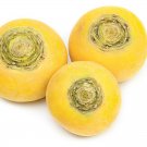 Golden Turnip Seeds Organic Seeds Vegetable Seeds Fresh Seeds Fast Shipping