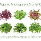 Gourmet Microgreen Seed Collection 5 Nutrient Packed Varieties Organic Seeds Fresh Seeds Fast Shippi