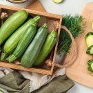 Gray Zucchini Seeds Organic Zucchini Zucchini Fresh Seeds Fast Shipping