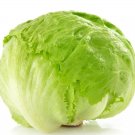 Iceberg Lettuce Seeds Organic Iceberg Lettuce Lettuce Fresh Seeds Fast Shipping