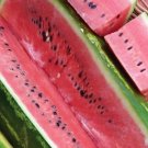 Jubilee Watermelon Seeds Organic Watermelon Watermelon Fresh Seeds Fast Shipping