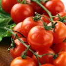 Large Red Cherry Tomato Seeds Organic Tomato Tomatoes Fresh Seeds Fast Shipping