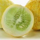 Lemon Cucumbers Seeds Organic Cucumber Seeds Cucumber Seeds Cucumbers Fresh Seeds Fast Shipping