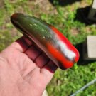 Mammoth Jalapeno Hot Pepper Seeds 50 Seeds _ Fresh Seeds Fast Shipping