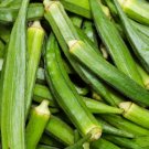 Okra Seeds Spineless Okra Seeds Organic Okra Okra Fresh Seeds Fast Shipping