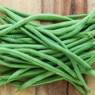 Top Crop Green Bean Seeds Bush Bean Seeds Organic Beans Seeds Beans Fresh Seeds Fast Shipping