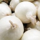 White Sweet Spanish Onion Seeds Organic Onion Fresh Seeds Fast Shipping
