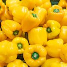Yellow Bell Pepper Seeds Organic Pepper Fresh Seeds Fast Shipping