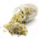 Zesty Bean Sprouting Seed Blend Organic Seeds Fresh Seeds Fast Shipping