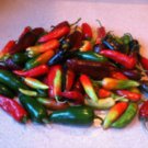 Assorted Hot Pepper Seeds Fresh Seeds Fast Shipping