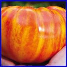 Big Rainbow Tomato Seeds Fresh Seeds Fast Shipping