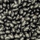 Black Turtle Bush Bean Seeds Fresh Seeds Fast Shipping