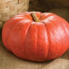 Cinderella Pumpkin Rouge Vfi D Etampes Seeds Fresh Seeds Fast Shipping