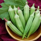 Clemson Spineless Okra Seeds Fresh Seeds Fast Shipping