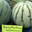 Early Moonbeam Watermelon Seeds Great For Small Spaces Fresh Seeds Fast Shipping