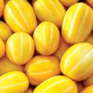 Early Silver Line Melon Seeds Fresh Seeds Fast Shipping