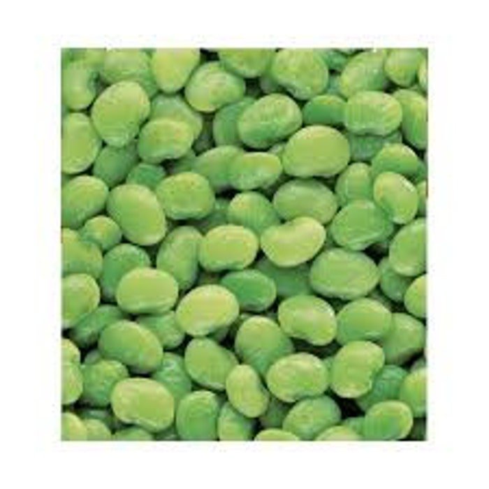 Fordhook Lima Bean Seeds Fresh Seeds Fast Shipping