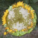 Giant White Seeded Sunflower Seeds Fresh Seeds Fast Shipping