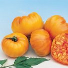 Giant Yellow Tomato Fresh Seeds Fast Shipping