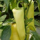 Hungarian Hot Pepper Seeds Fresh Seeds Fast Shipping