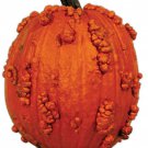 Knucklehead Pumpkin Untreated Seeds Fresh Seeds Fast Shipping