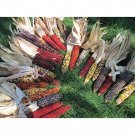 Large Indian Corn Seeds Fresh Seeds Fast Shipping