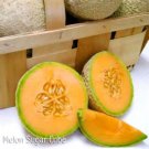 Mini Sugar Cubes Cantaloupe Seeds Fresh Seeds Fast Shipping