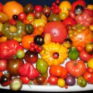 Mix Of 200 Different Kinds Of Tomatoes Pack Of 200 Seeds Fresh Seeds Fast Shipping